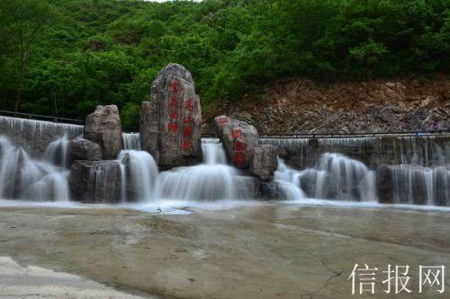 植物大战僵尸：花园战争
